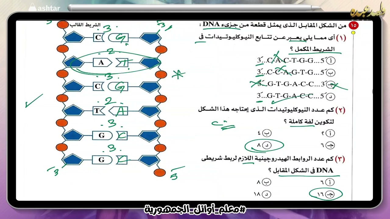 حل واجب تركيب DNA #وليد_عبده 