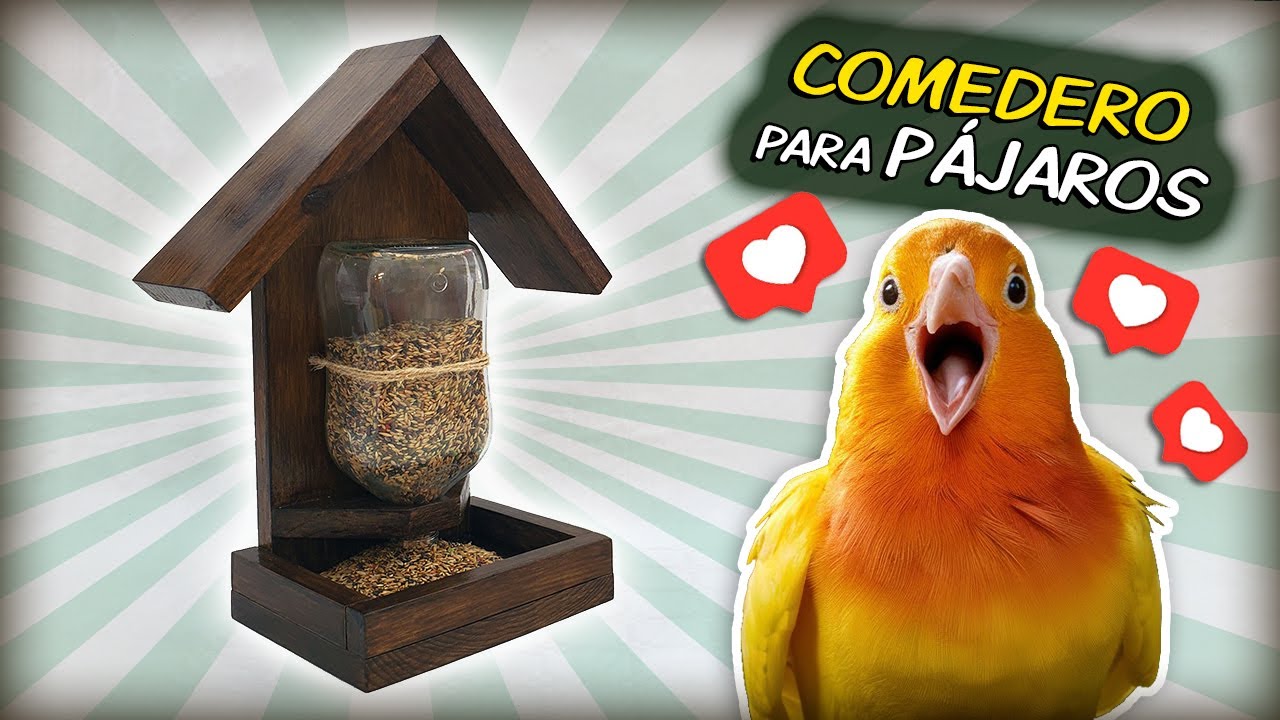 COMEDERO PARA P&Aacute;JAROS CASERO con materiales reutilizados 🐦