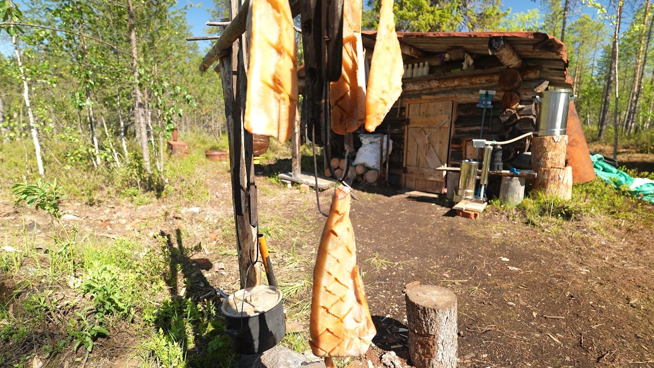 Накоптил рыбы. Щука на кружки. Совята.
