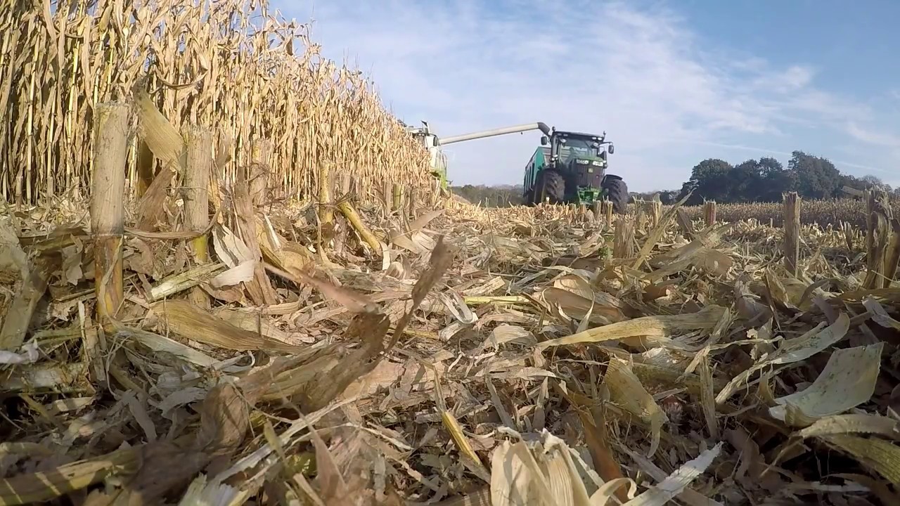 MAIS GRAIN 2017 [GOPRO]