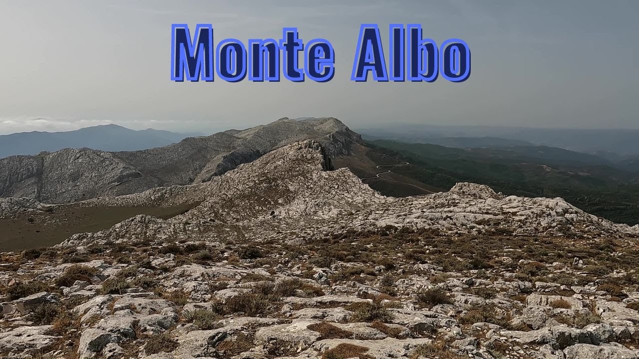 Trekking Monte Albo! [SARDEGNA VANLIFE]