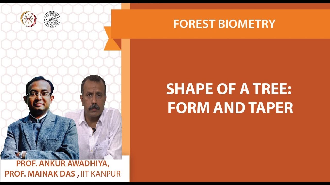 Shape of a tree: Form and Taper