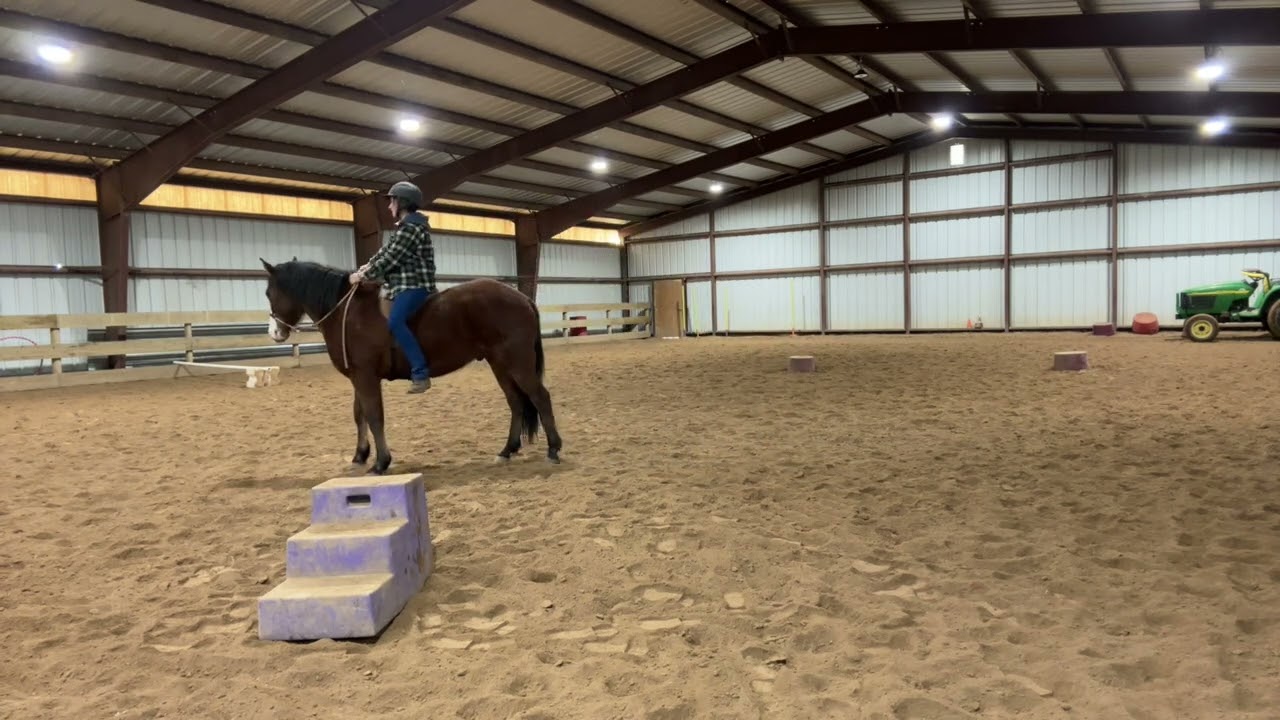 Strike walk/trot with bareback pad part 2