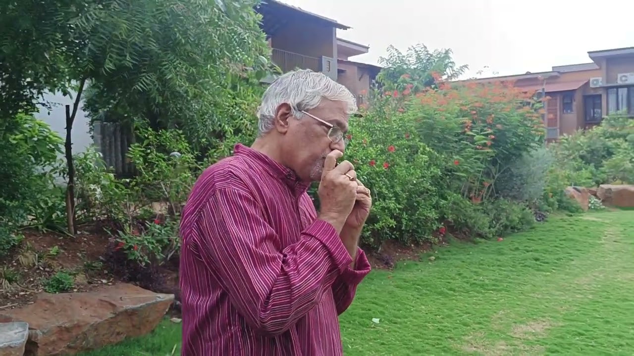 Tujhe Dekha to ye Jana Sanam harmonica cover Diwakar Srinivasan
