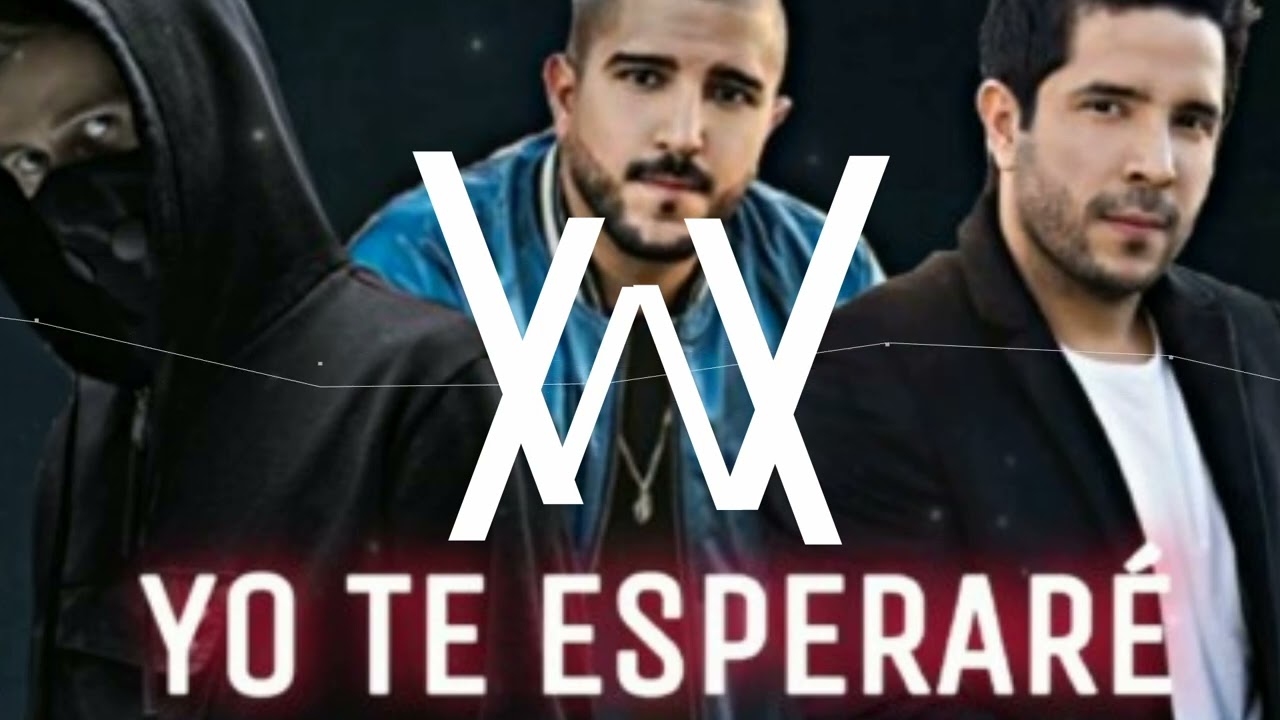 Alan Walker & Cali Y El Dandee   Yo Te Esperaré  Elmer Naza remix
