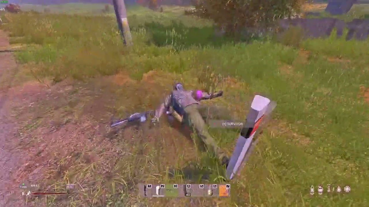 DayZ Endzone
