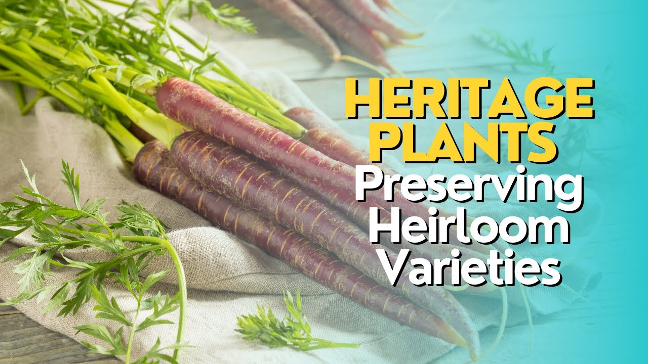 Heritage Plants: Preserving Heirloom Varieties