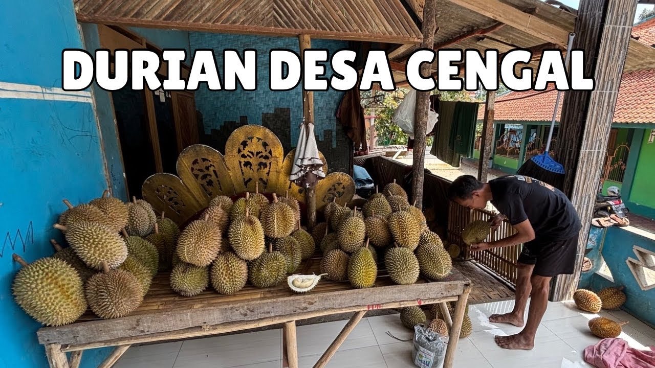 MENCOBA DURIAN LOKAL BOGOR DI KAMPUNG CENGAL