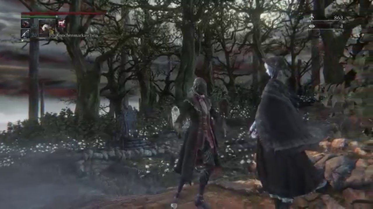 Bloodborne/Harvest Moon - Blutstein Scherben, Zwillings Scherben und Brocken farmen
