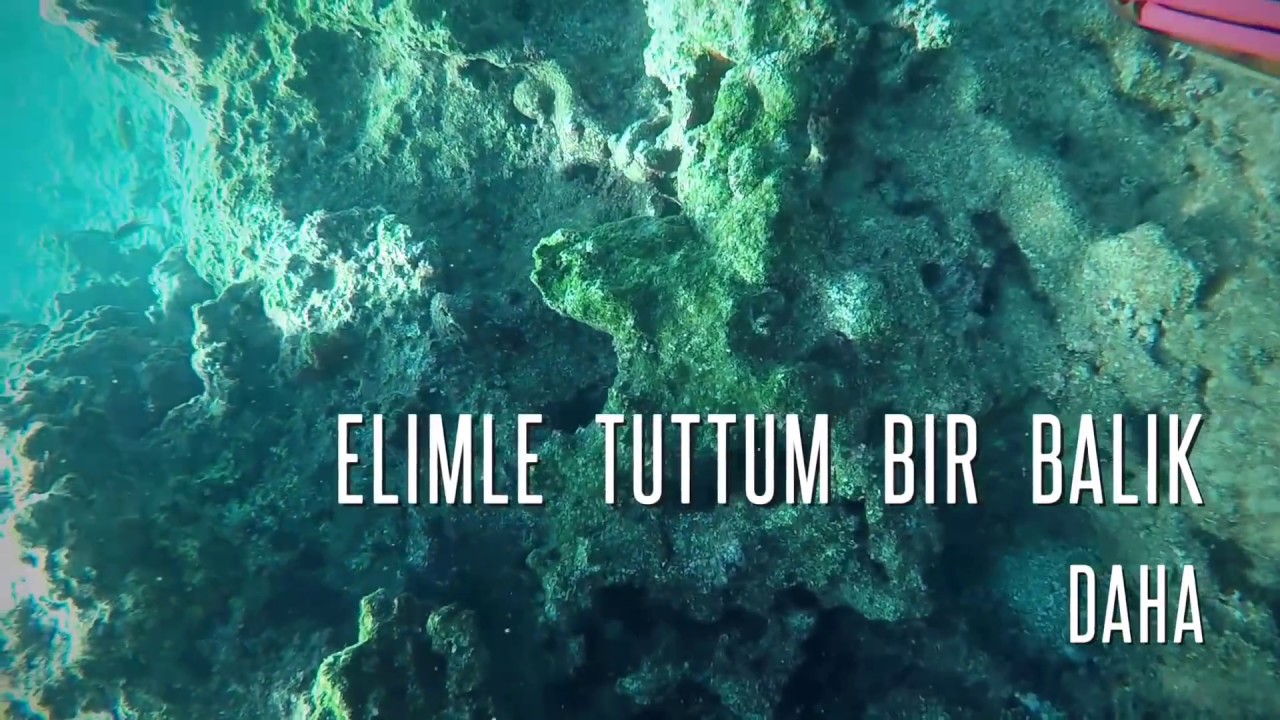 Zıpkın avı 2019 yeni yil avı GOPRO 5 MUĞLA-DALYAN ÇUPRA AVI IŞKOROZ AVI KEFAL AVI SUBYE AVI