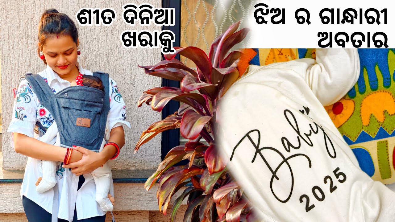 ଶୀତ ଦିନିଆ ଖରାକୁ ଝିଅ ର ଗାନ୍ଧାରୀ ଅବତାର ॥Parsimmon fruit ଖାଇଲୁ ॥