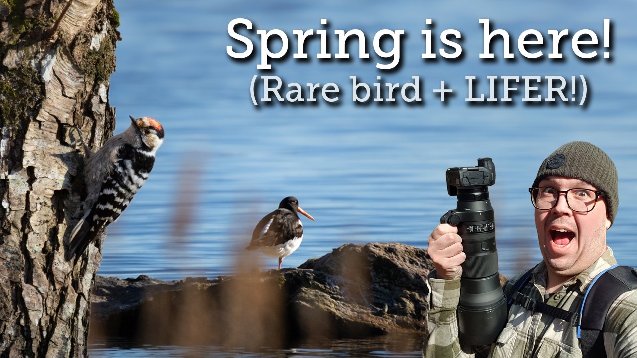 Spring is finally here | RARE BIRD & LIFER!