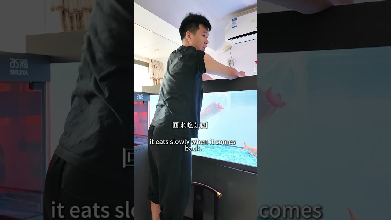 梅州第一折腾王，每次都半夜送鱼，想要就立马送，鱼友让我来宠！！