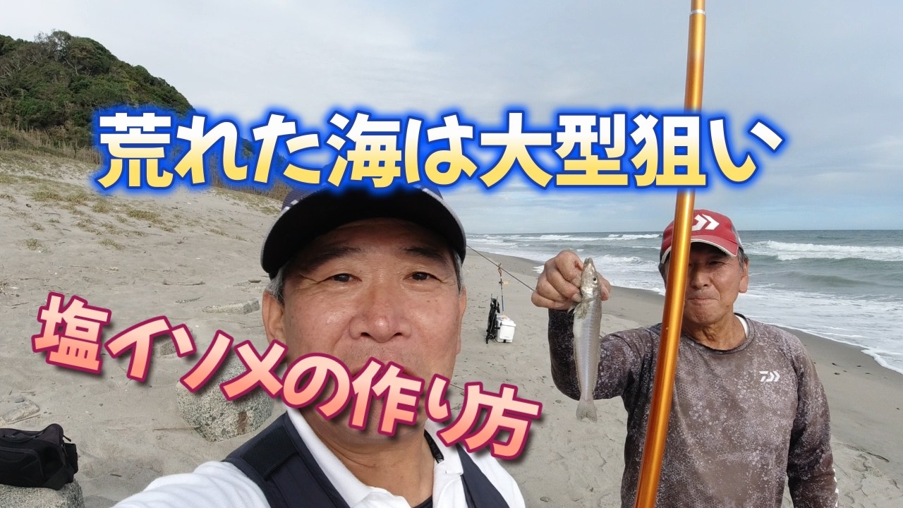 大型狙って表浜釣行・後半は塩イソメの作り方