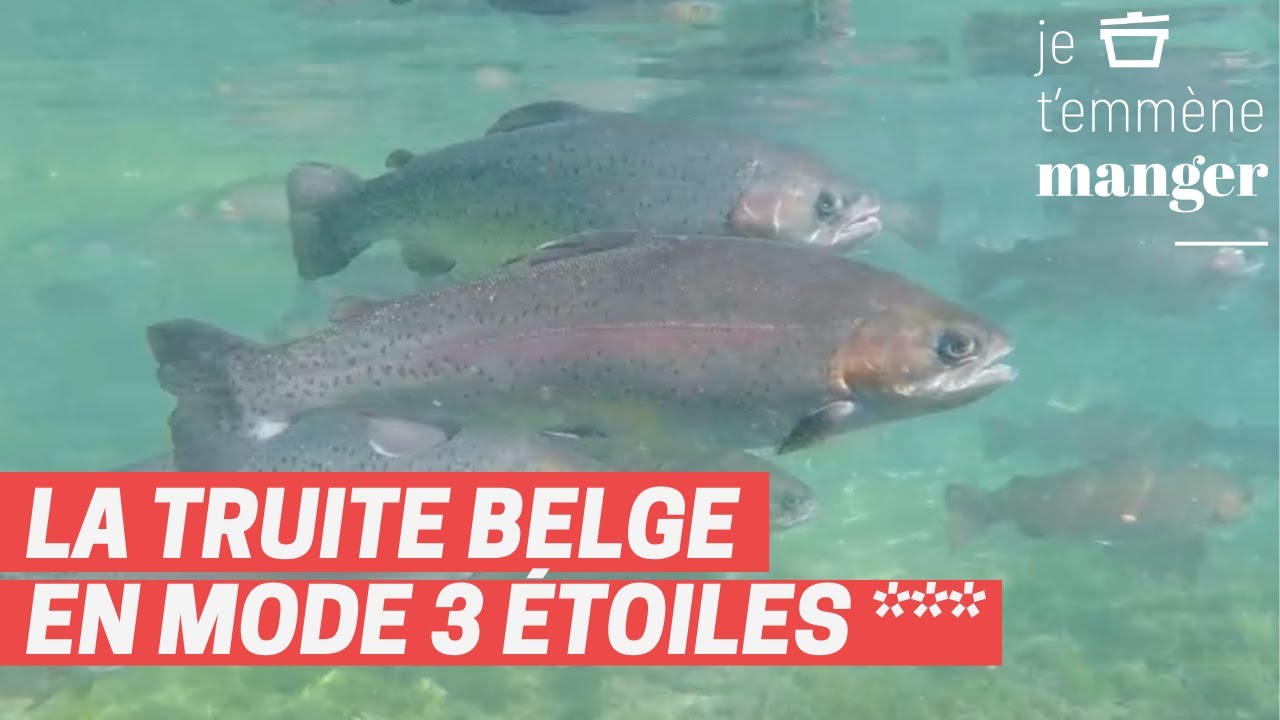 La Commanderie 7 | Je t'emmène manger | Épisode 12
