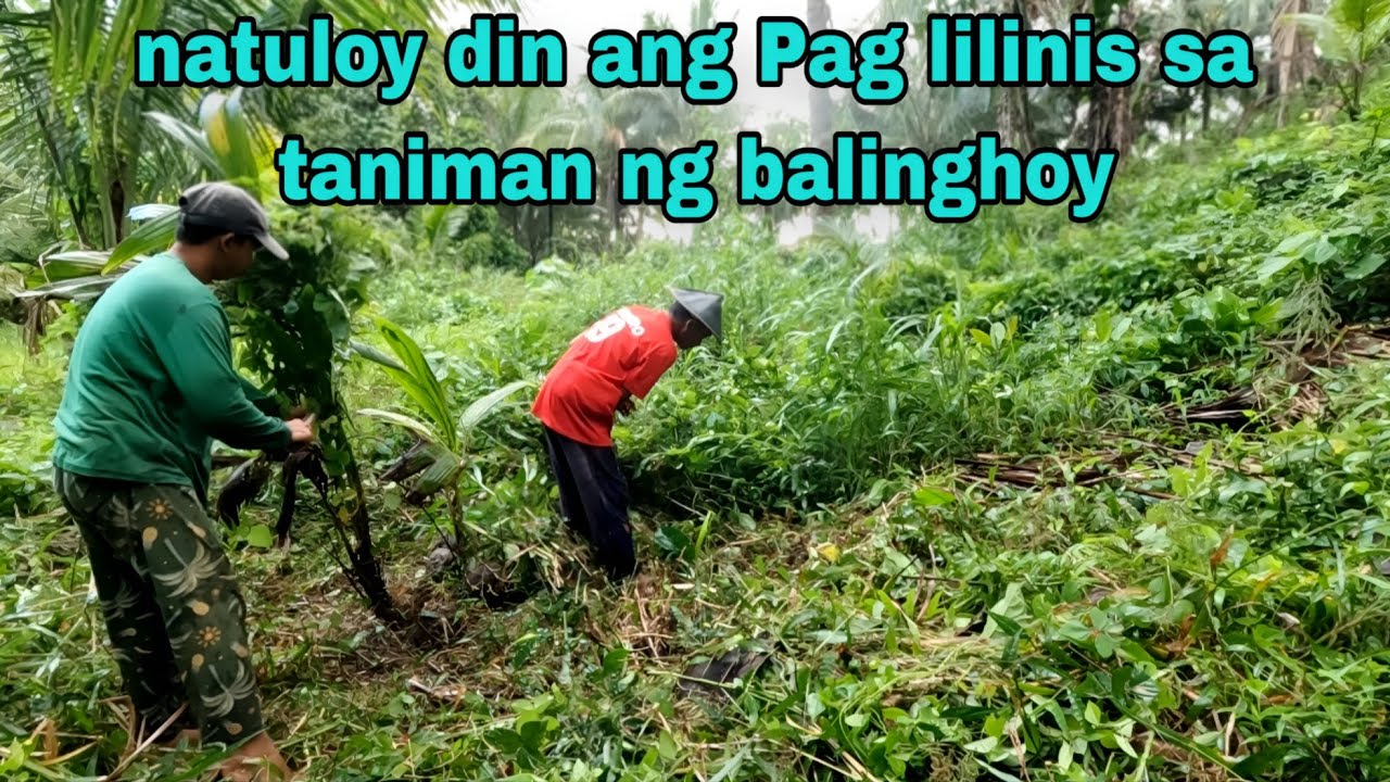 NATULOY din sa paglilinis sa maliit na area