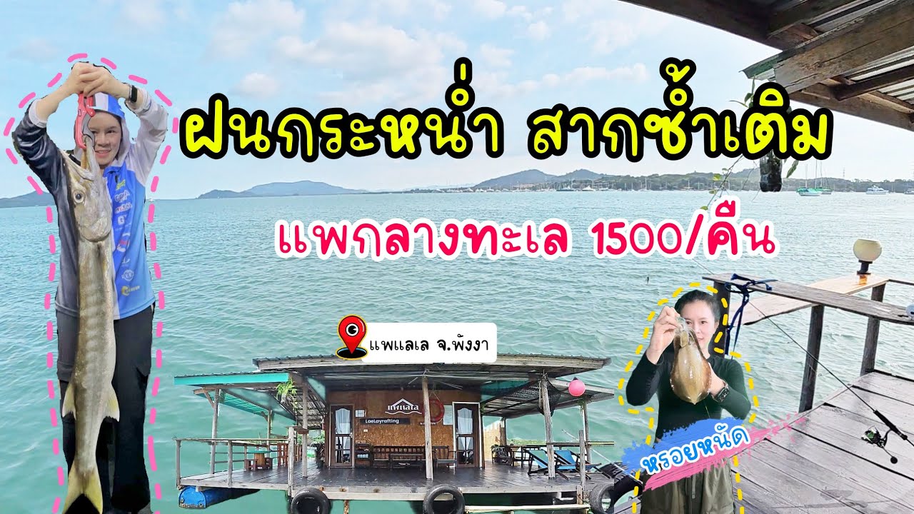 (Ep.2ลงใต้) แพแลเล จ.พังงา แพบ้านตกปลากลางทะเล วันธรรมดาเริ่มต้น1500/คืน