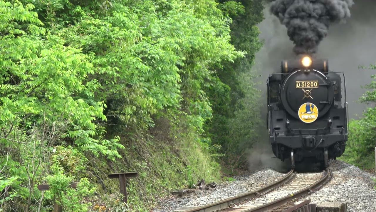 Steam Locomotive Train Yamaguchi   D51200 in Japan 20250510-11