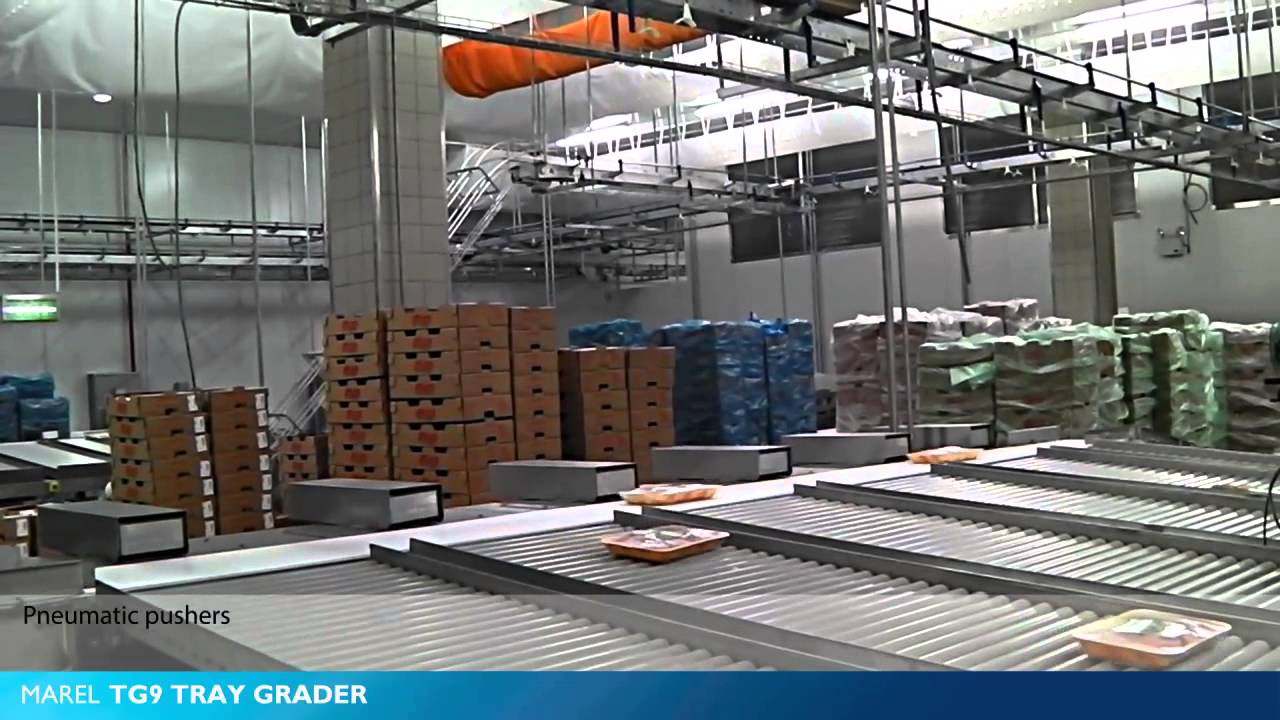 Retail Pack Handling and Collation - TG9 Tray Grader
