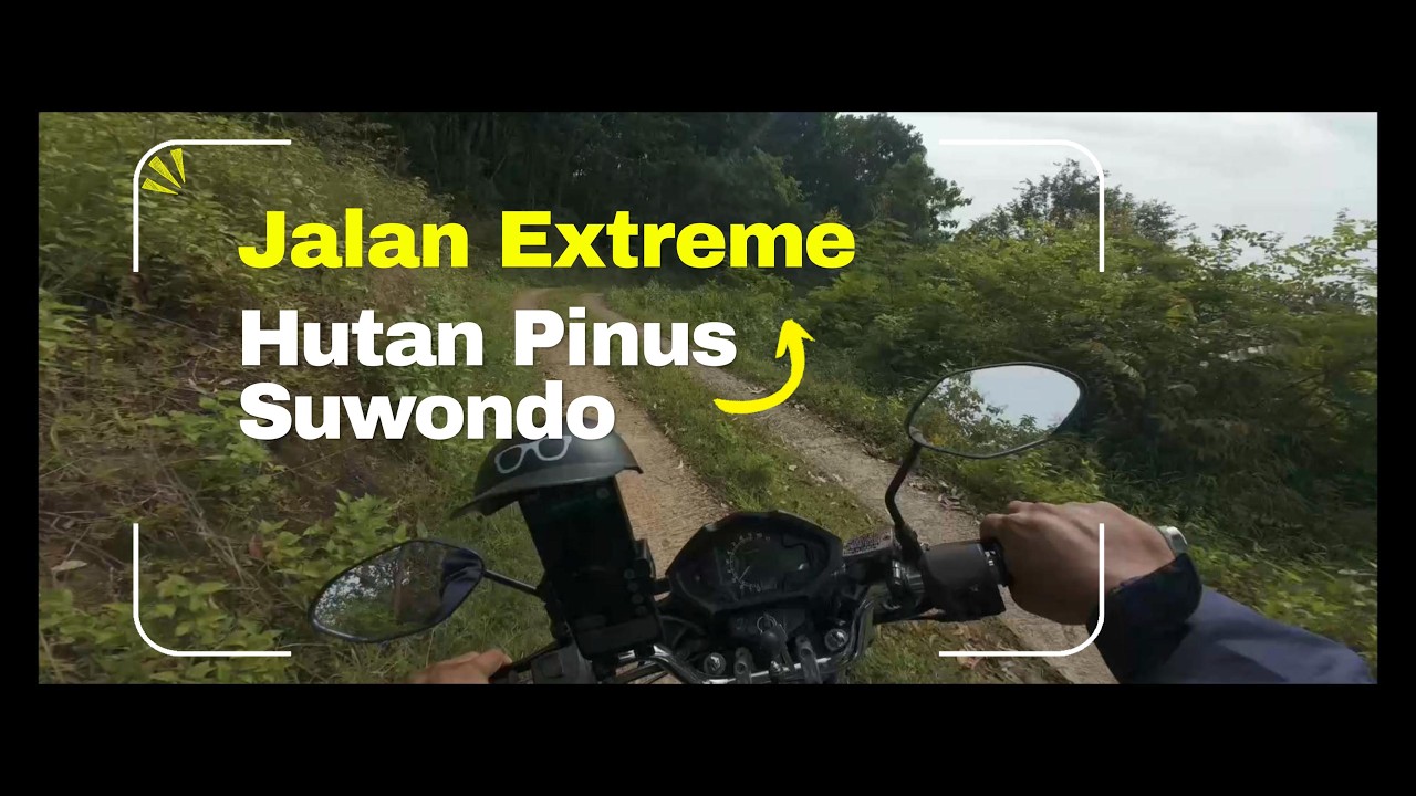 Rute Tawangsari ke Waduk Gajah Mungkur via Manyaran & Bero | Lewat Hutan Pinus Suwondo