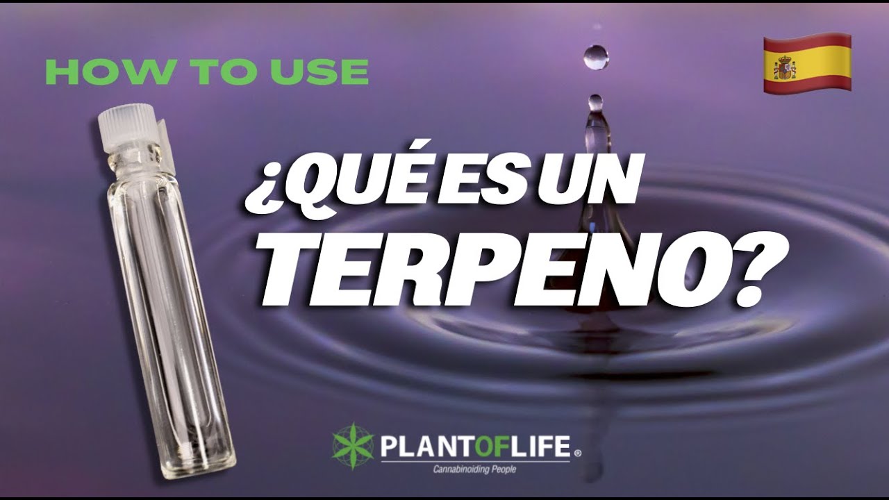 🇪🇸 &iquest;QU&Eacute; ES UN TERPENO? - PLANT OF LIFE💧