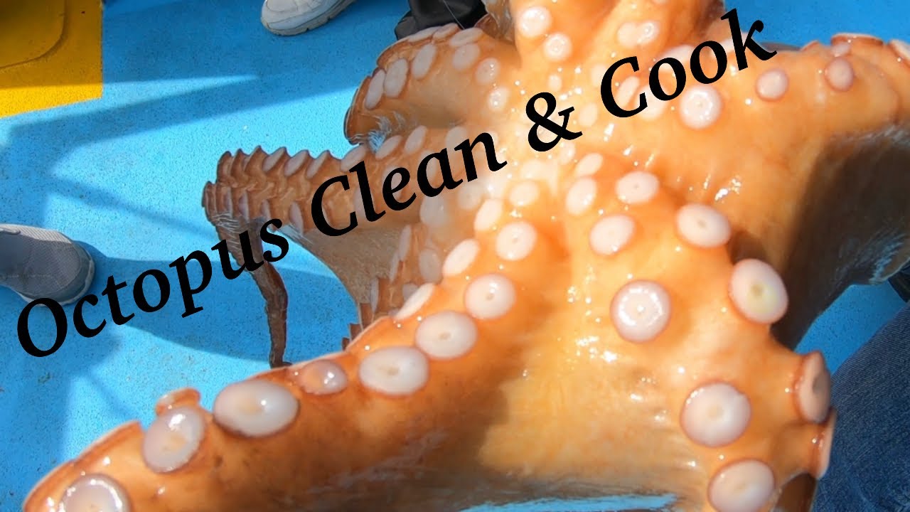 Octopus Clean and Cook using an Instant Pot - DELICIOUS!