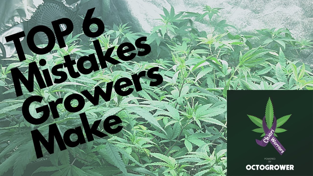 Octopot (Top 6 Reasons Growers Fail) By Octogrower