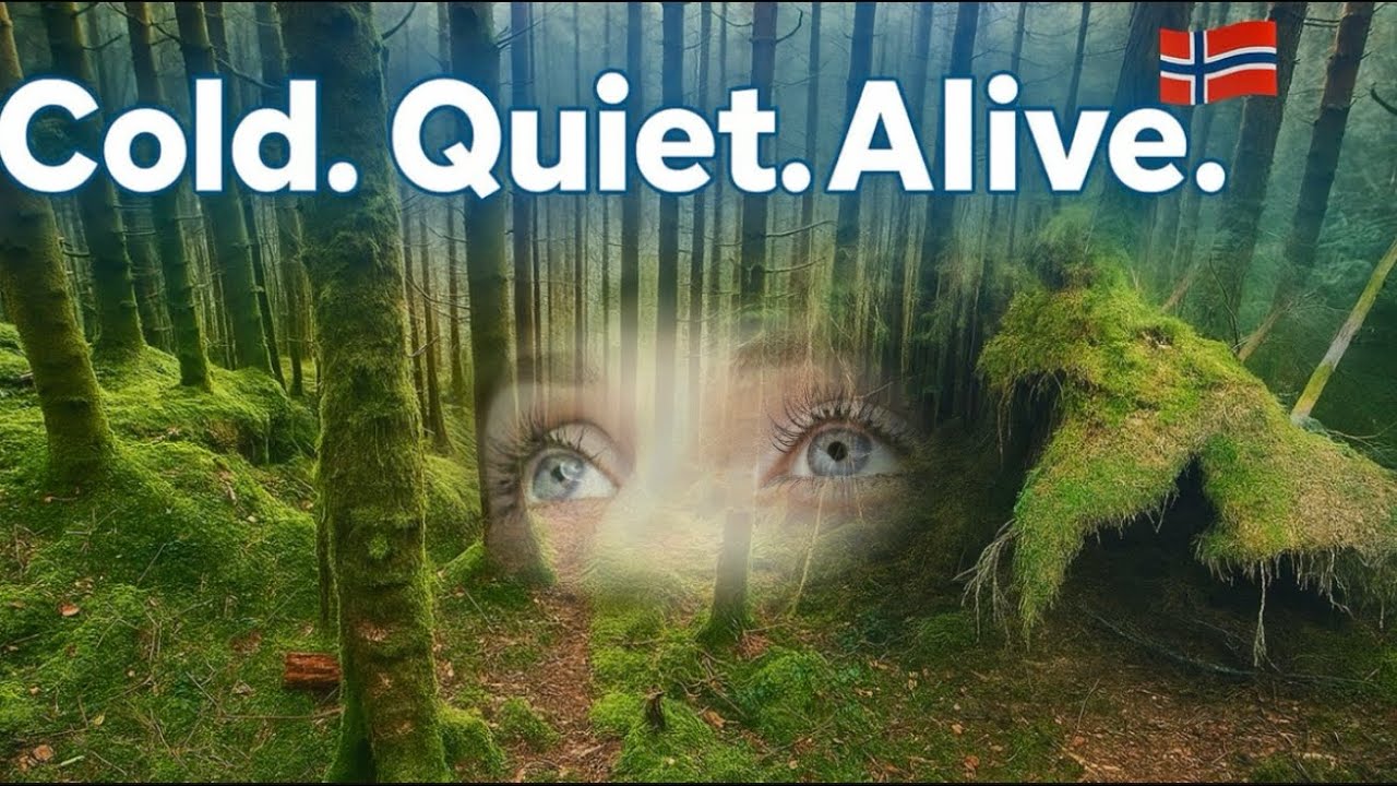 Raw Norwegian Air | Autumn’s Last Breath in 4K