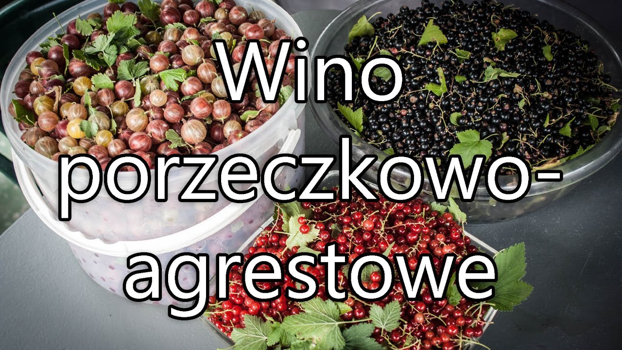 Wino porzeczkowo-agrestowe - łatwy i szybki przepis :)