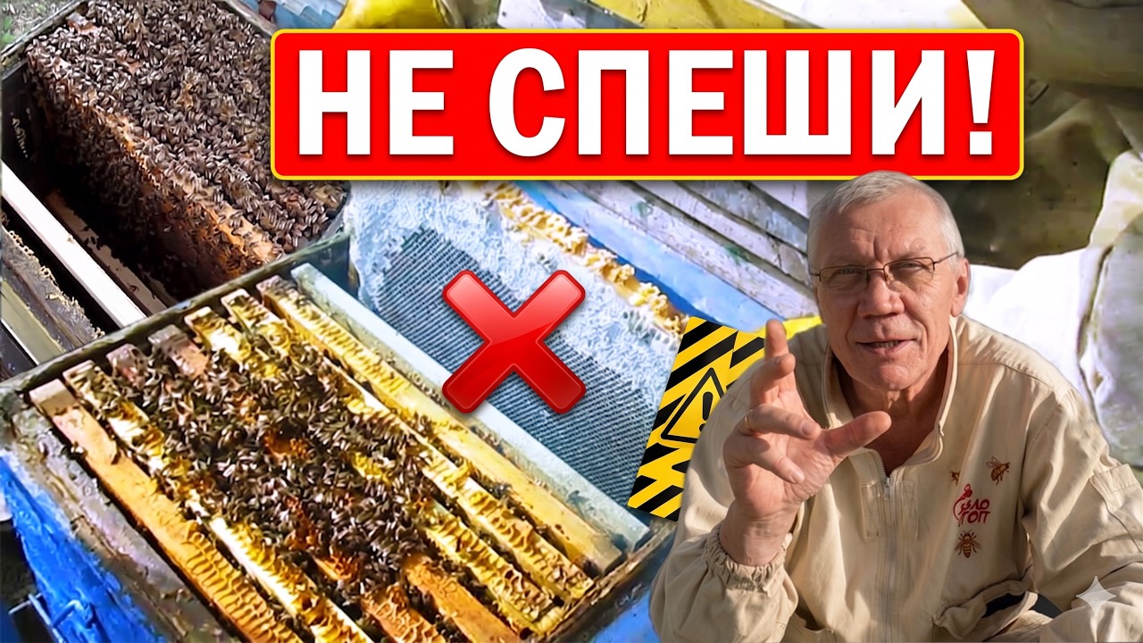 Когда НУЖНО Расширять гнездо пчел весной? Как правильно ухаживать за пчелами весной без потерь?