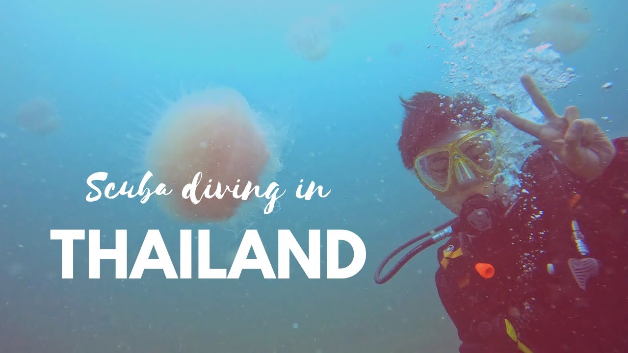 Our Scuba Diving Liveaboard Experience | Khao Lak, Thailand