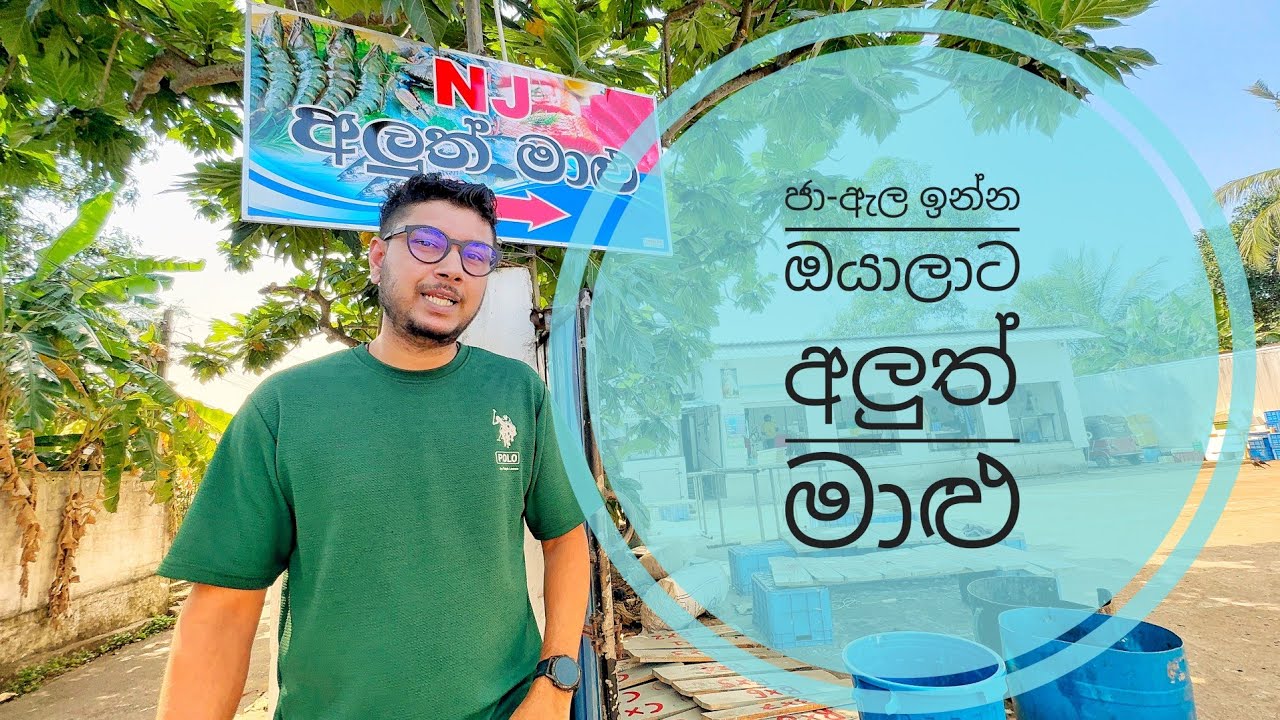 From Sea to Plate: The Best Fresh Fish in Ja-ela (N J අලුත් මාළු) ජා-ඇල @lisaandjanaka