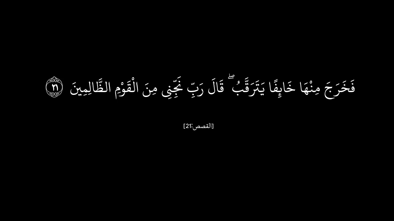 سورة القصص بصوت الشيخ ماجد الزامل #اكسبلور #قران_كريم #راحة_نفسية #لايك #صلى_الله_عليه_وسلم