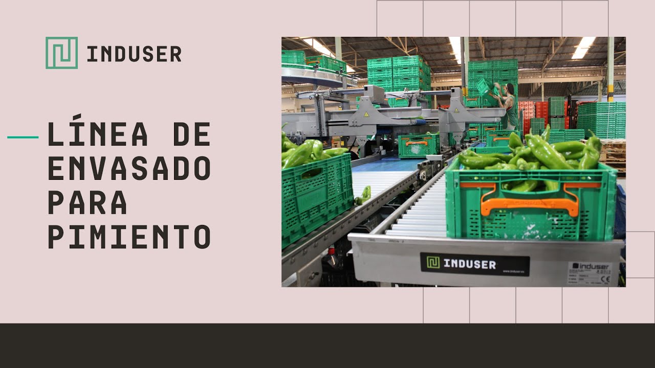 🫑 Línea de envasado para pimiento (en caja) #INDUSER