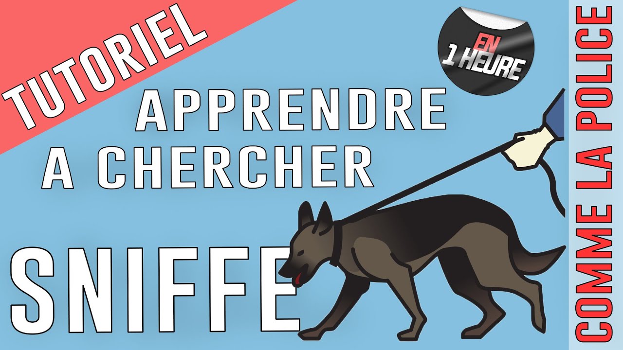 APPRENDRE à mon MON CHIEN CHERCHE
