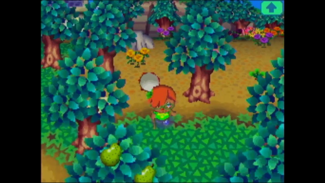 Animal Crossing Wild World - Week 23 & 24 - No Commentary Longplay