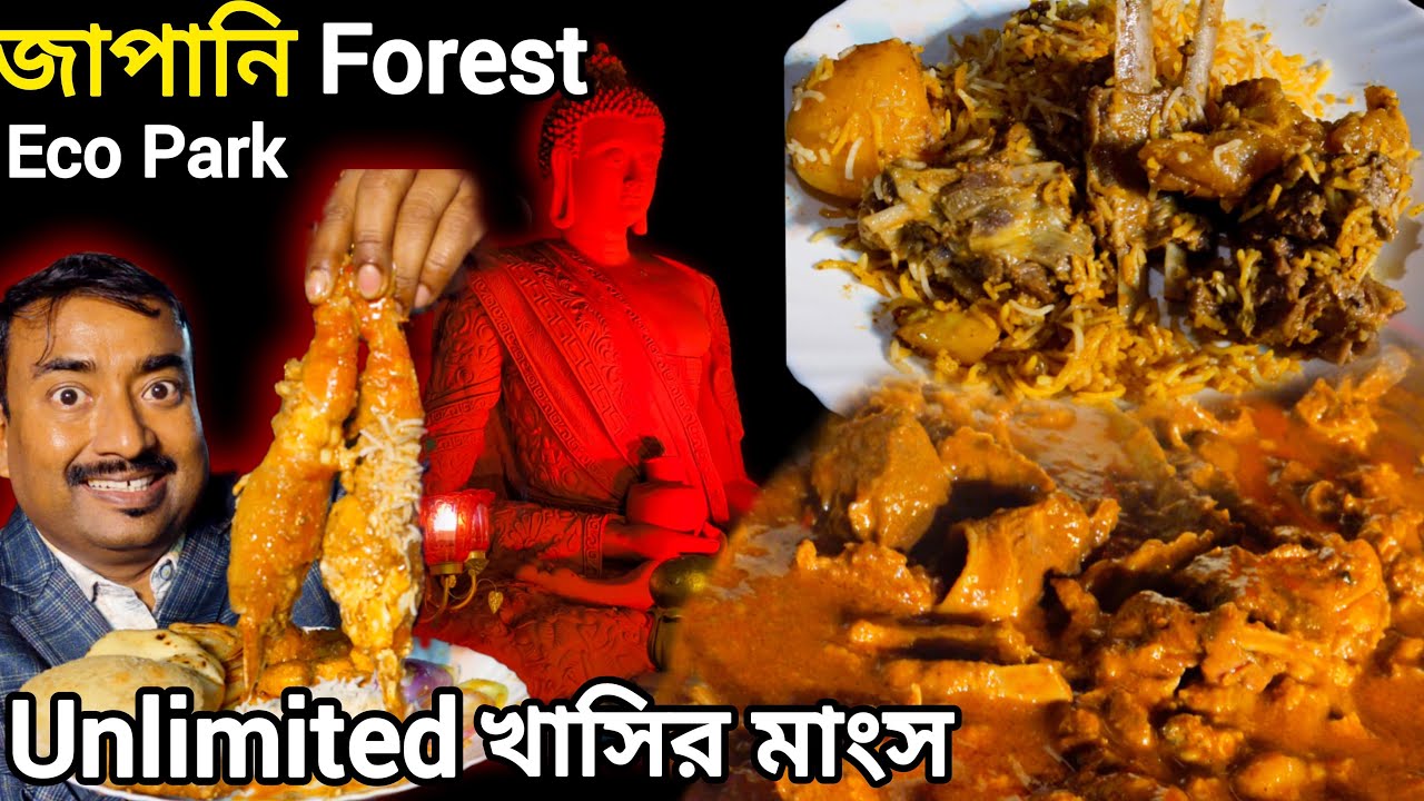 Eco Park দ্বীপে Japani Forest এ Unlimited রিয়াজী খাসির বিরিয়ানি,চিংড়ি,ভেটকি সে এক বিরাট আয়োজন |