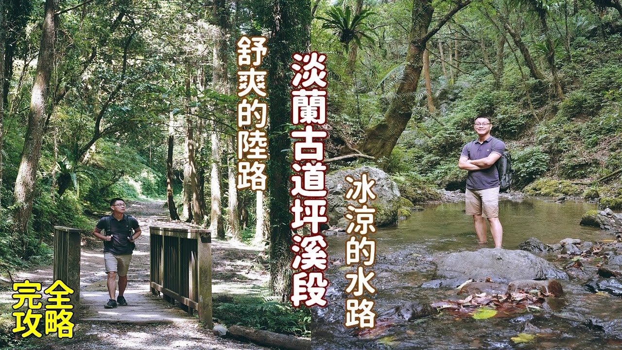 淡蘭古道坪溪段台北郊區最美的柳杉林步道，走在冰涼的淺溪路徑氣溫瞬間驟降，適合親子休閒的消暑景點