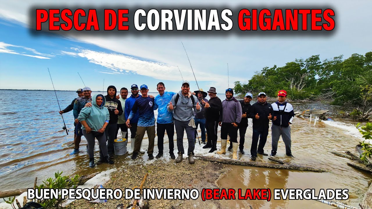 Pesca de Corvinas Gigantes 🤩 Everglades los Black Drum 🎣🐟