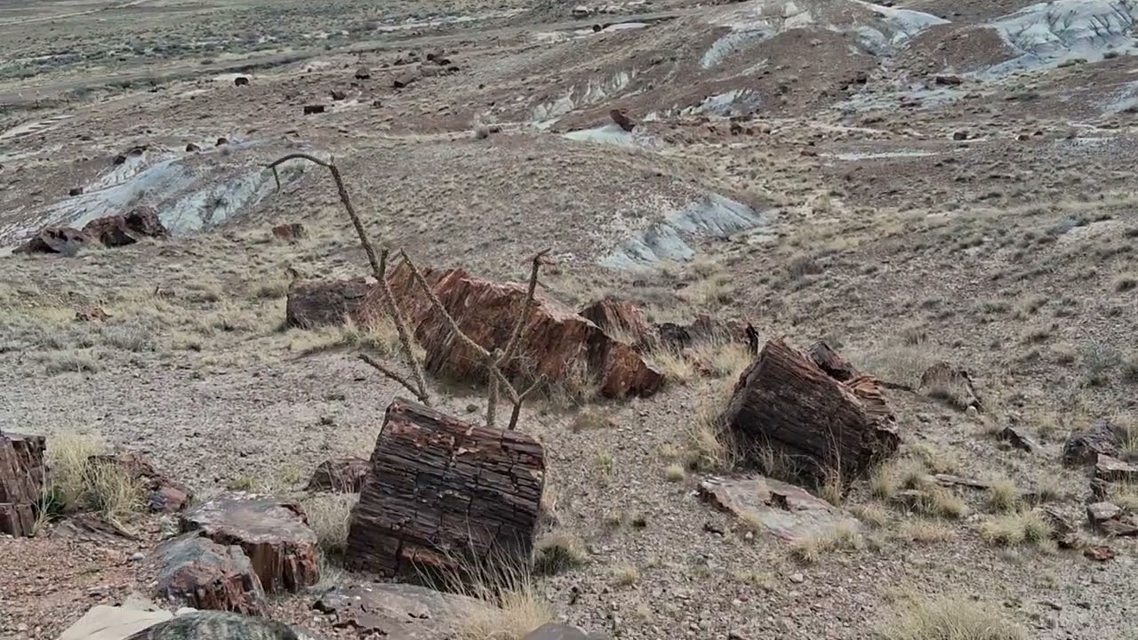 End of Petrified Forest