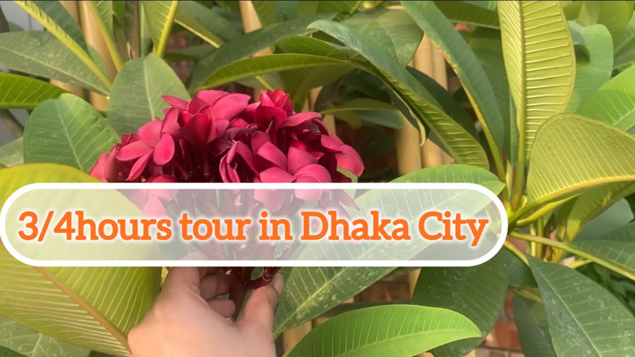 Day tour in Dhaka City |Chayabithi resort | Amin bazar Mirpur