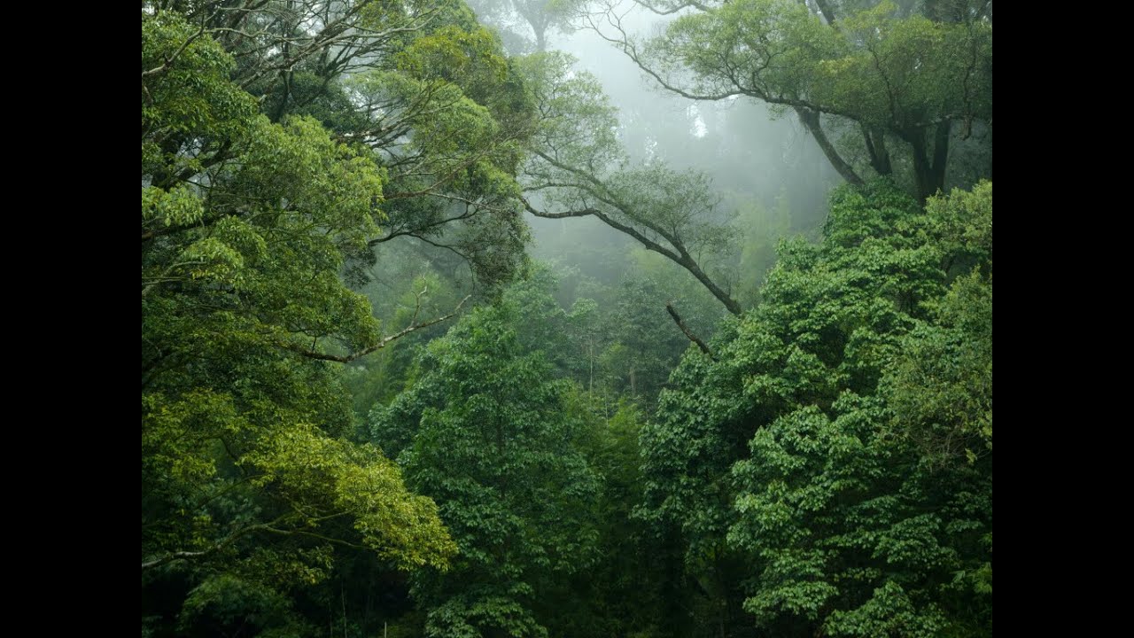 Tankespil 4)  Hypnose, Meditation, Healing (feat. Brian Lagoni)