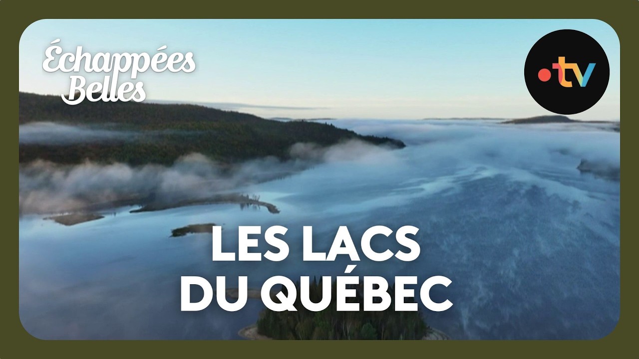 Le Québec : sur les traces de castor, l'emblème du Canada - Échappées belles 14 décembre 2024
