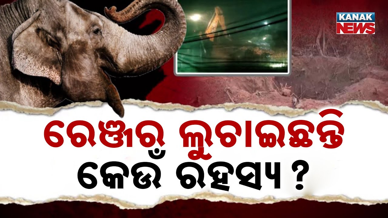 Kandhamal Elephant Death Exposes Forest Department Irregularities | 400 Elephants Dead in 5 Years
