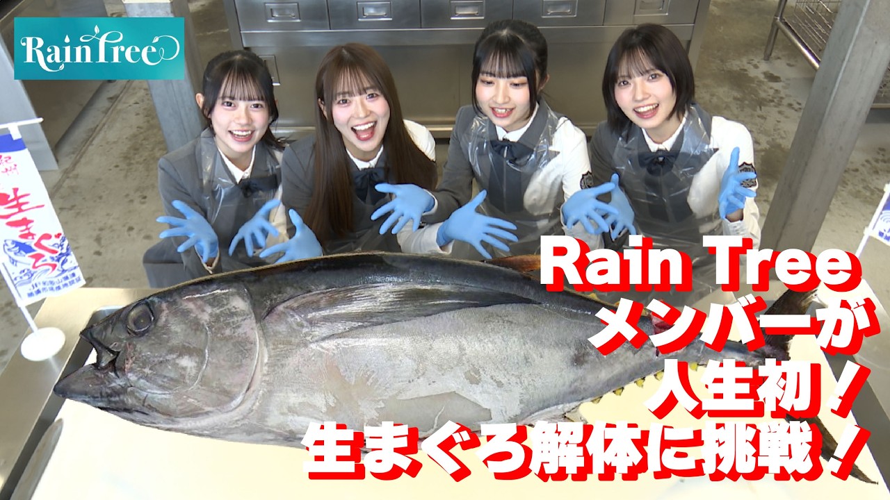 【日本一】水揚げ量日本一の那智勝浦町の生まぐろ解体にRain Treeが挑戦！！@RainTree_RT