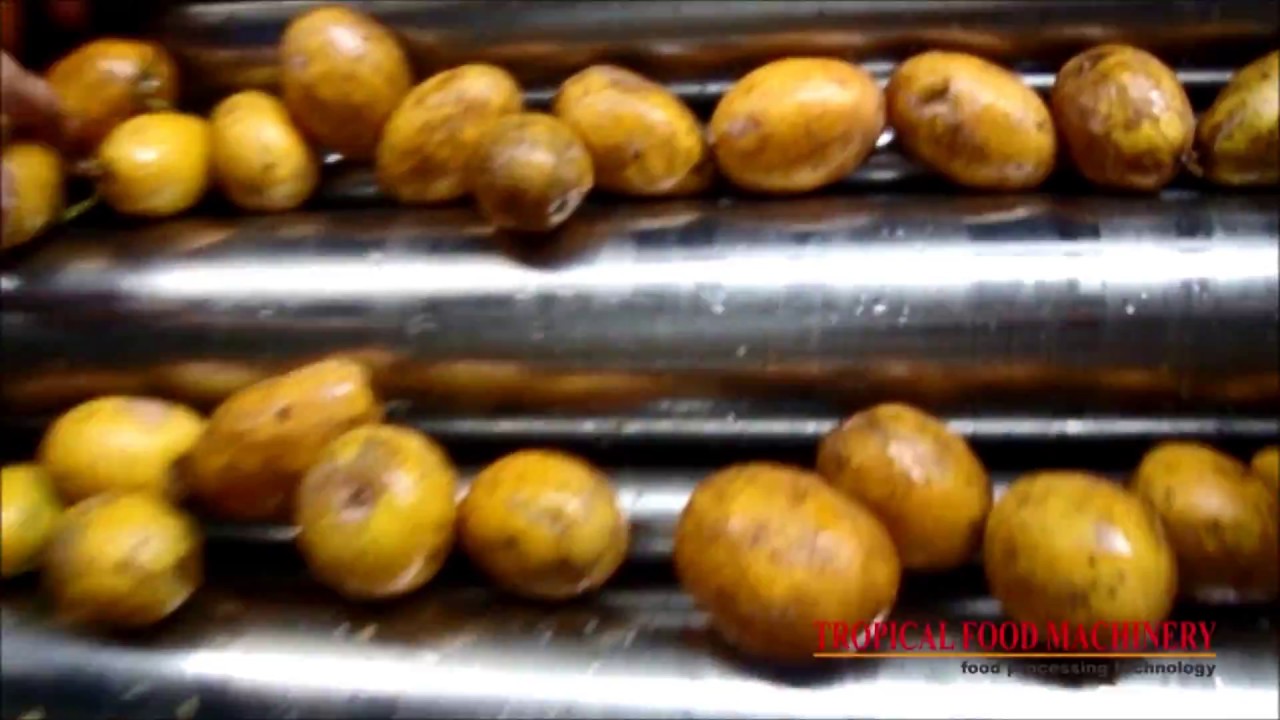 TFM - Combined multi fruit line 1000