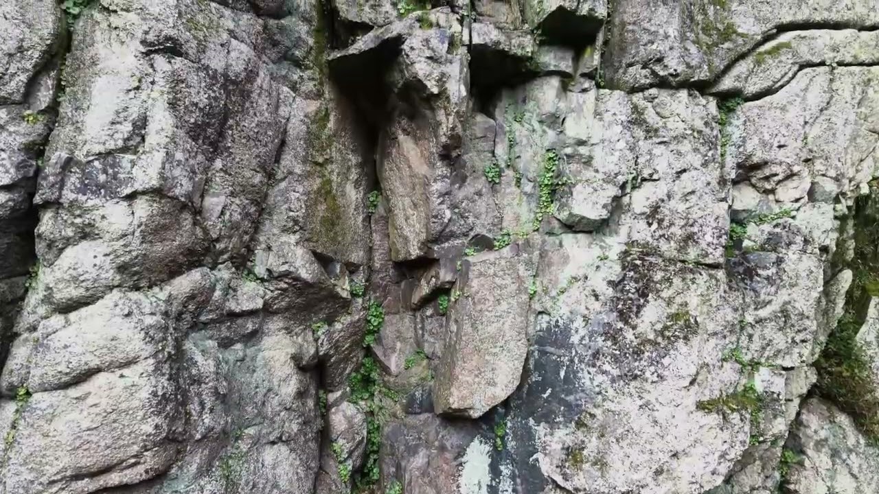 Dewerstone March 2026