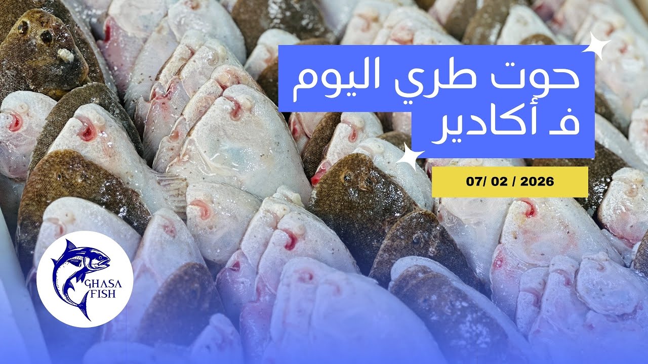 أثمنة السمك 🦐 اليوم السبت 07 فبراير 2026 