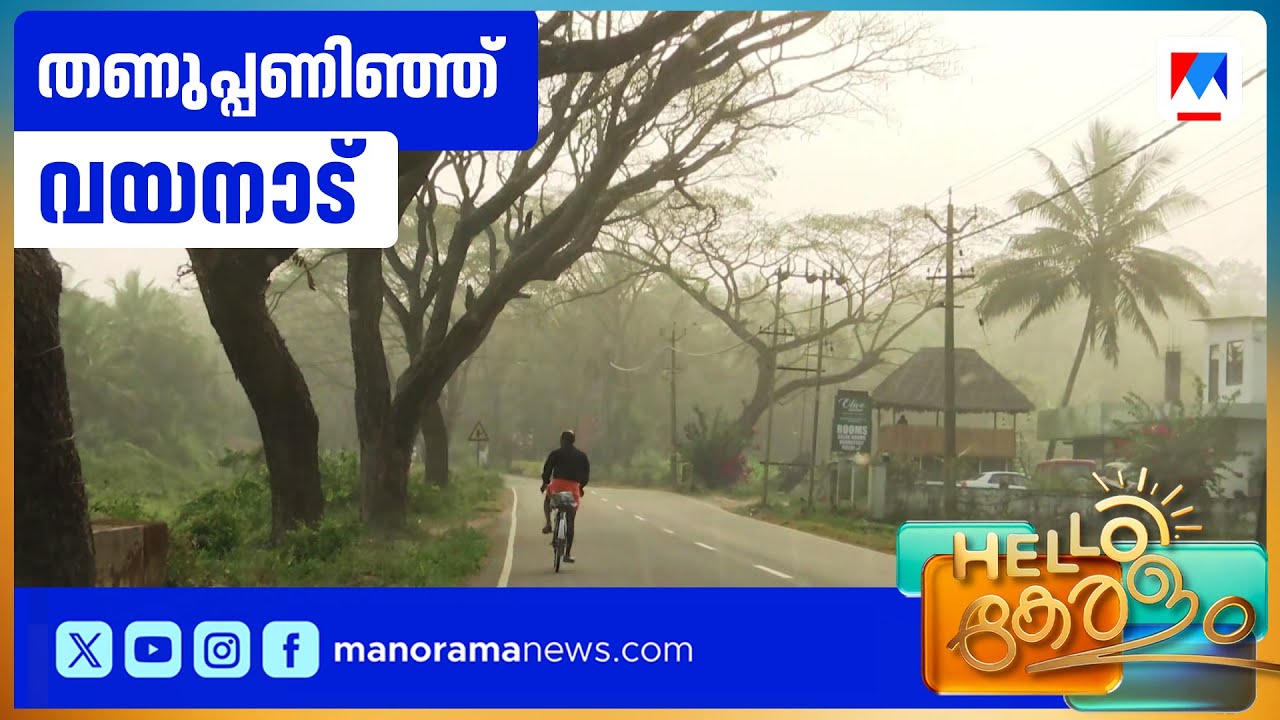 പുതുവർഷ പുലരിയിൽ മഞ്ഞ് പുതച്ച് വയനാട്; താപനില 10 ഡിഗ്രിയിൽ താഴെ ​| Wayanad