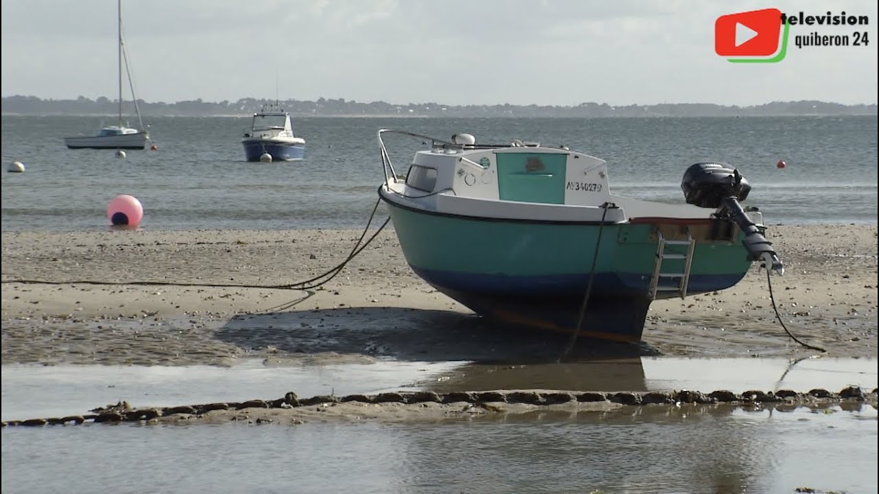 SAINT-PIERRE QUIBERON  🇨🇵 |  Such a pretty Breton port  |  Quiberon 24 TV